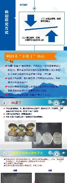 杨先乐老师PPT分享：河蟹的“水瘪子”及其健康养殖