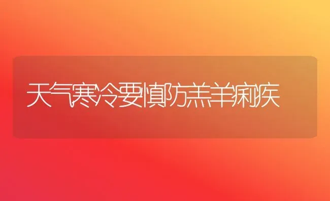 天气寒冷要慎防羔羊痢疾 | 家畜养殖