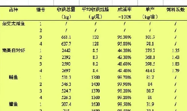 杂交太阳鱼引种与南美白对虾混养试验