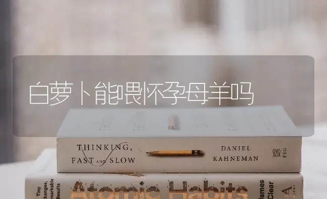 白萝卜能喂怀孕母羊吗 | 家畜养殖