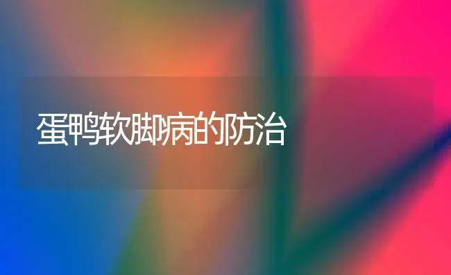 蛋鸭软脚病的防治 | 家禽养殖