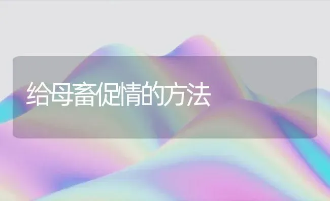 给母畜促情的方法 | 家畜养殖