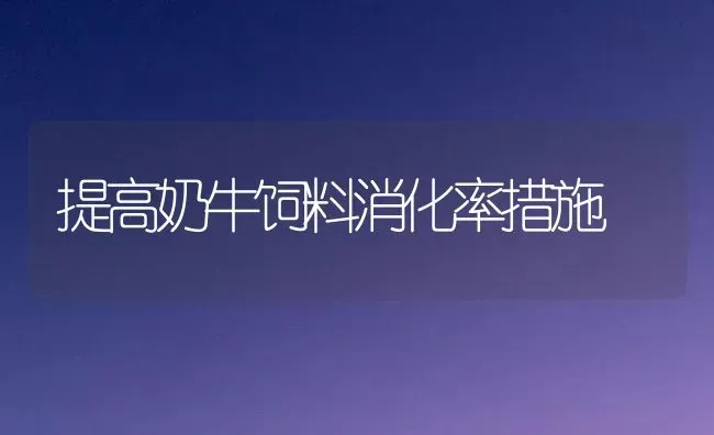 提高奶牛饲料消化率措施 | 动物养殖饲料