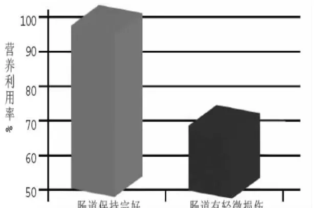 做好了这些鱼类驯食工作，让你养鱼赢在起跑线上！