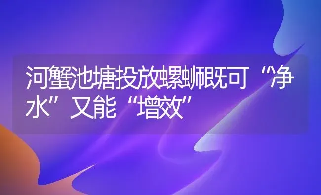 河蟹池塘投放螺蛳既可“净水”又能“增效” | 淡水养殖