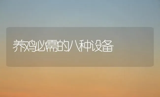 养鸡必需的八种设备 | 家禽养殖