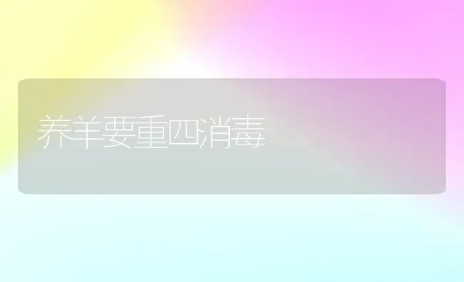 养羊要重四消毒 | 家畜养殖