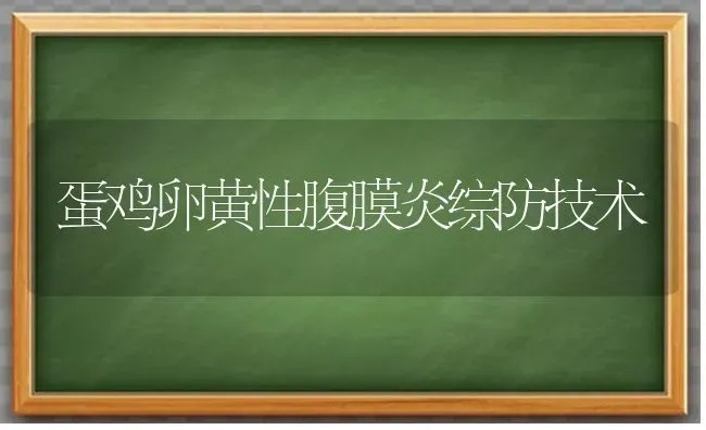 蛋鸡卵黄性腹膜炎综防技术 | 家禽养殖