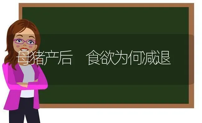 母猪产后 食欲为何减退 | 家畜养殖