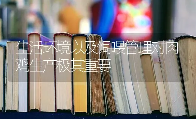 生活环境以及饲喂管理对肉鸡生产极其重要 | 家禽养殖