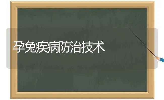 孕兔疾病防治技术 | 家畜养殖