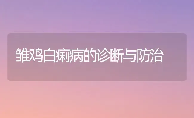 雏鸡白痢病的诊断与防治 | 家禽养殖