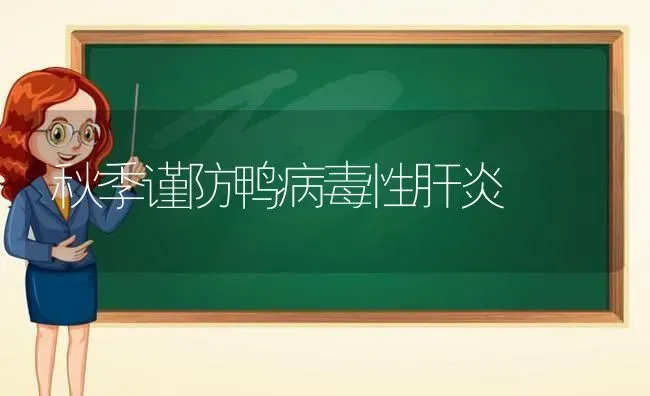 秋季谨防鸭病毒性肝炎 | 家禽养殖