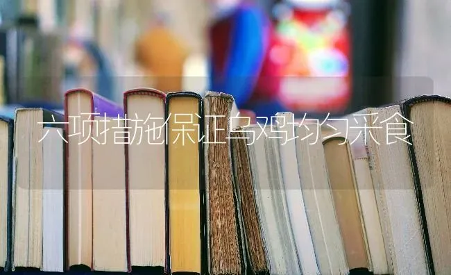 六项措施保证乌鸡均匀采食 | 家禽养殖