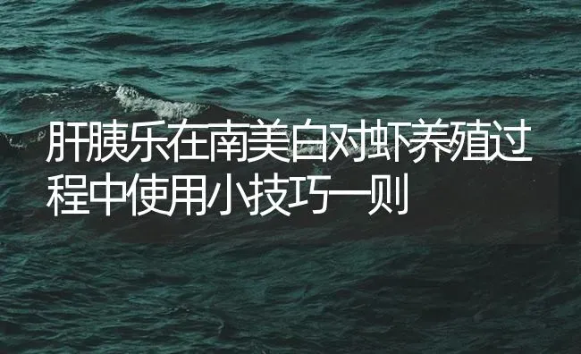 肝胰乐在南美白对虾养殖过程中使用小技巧一则 | 海水养殖