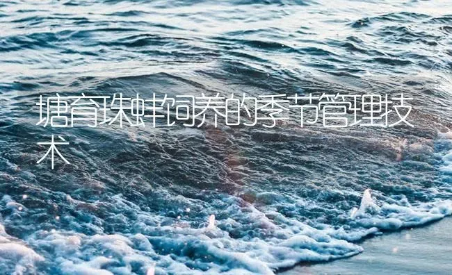 塘育珠蚌饲养的季节管理技术 | 海水养殖