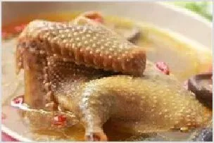 鸽子汤的做法 | 动物养殖知识