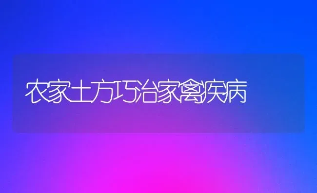 农家土方巧治家禽疾病 | 家禽养殖