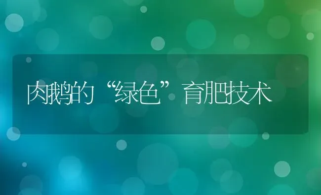 肉鹅的“绿色”育肥技术 | 家禽养殖