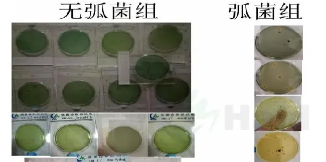 小龙虾的黑色五月，你在提心吊胆地煎熬着，别人已经开始大把赚钱了