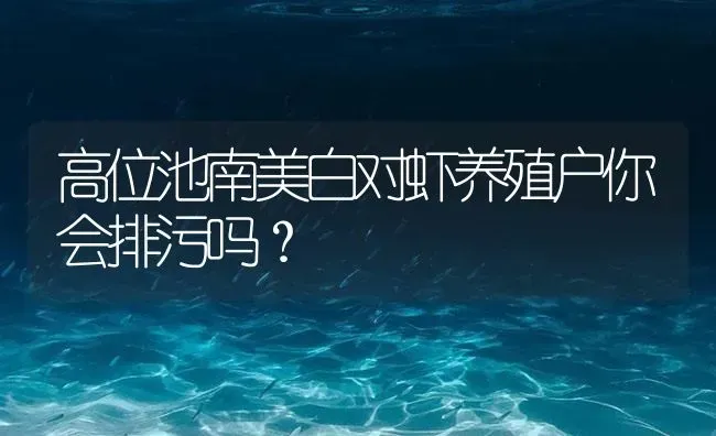 高位池南美白对虾养殖户你会排污吗？ | 海水养殖