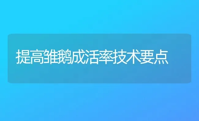 提高雏鹅成活率技术要点 | 家禽养殖