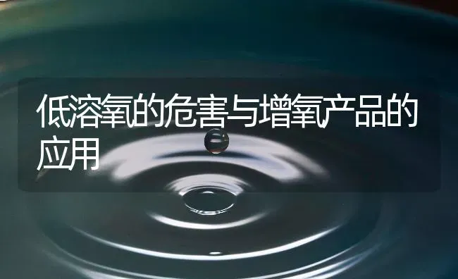 低溶氧的危害与增氧产品的应用 | 动物养殖百科