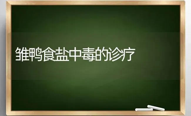 雏鸭食盐中毒的诊疗 | 家禽养殖