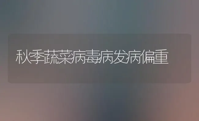 绵羊初冬配种好 | 家畜养殖