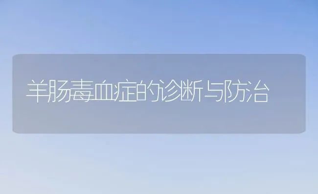 羊肠毒血症的诊断与防治 | 家畜养殖