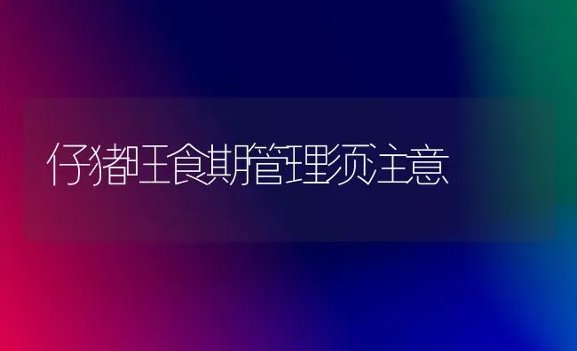 仔猪旺食期管理须注意 | 家畜养殖