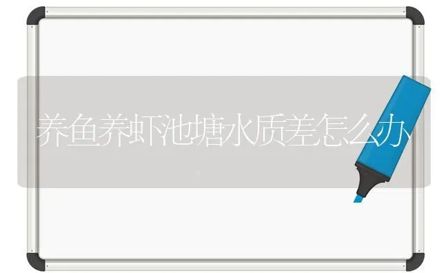 养鱼养虾池塘水质差怎么办 | 淡水养殖