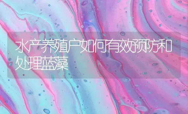 水产养殖户如何有效预防和处理蓝藻 | 动物养殖百科