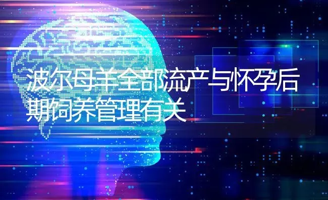 波尔母羊全部流产与怀孕后期饲养管理有关 | 家畜养殖