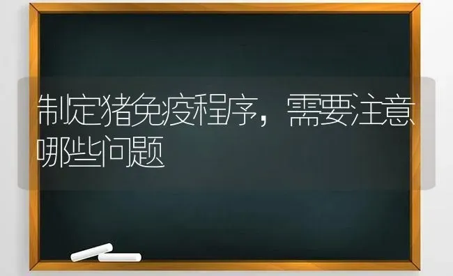 制定猪免疫程序，需要注意哪些问题 | 家畜养殖