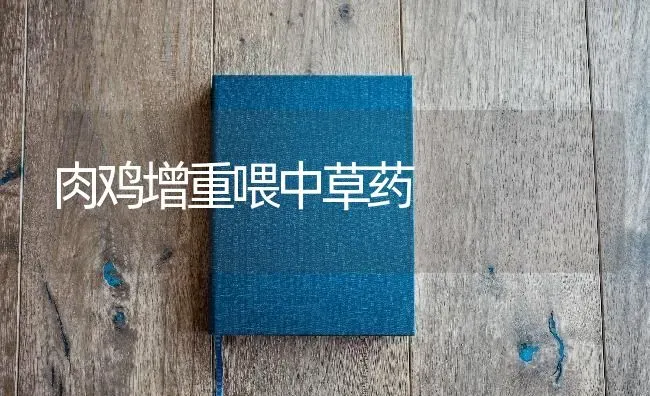 肉鸡增重喂中草药 | 养殖病虫害防治