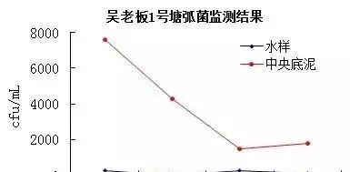 从弧菌检测谈过硫酸氢钾复合盐在对虾养殖中的重要性