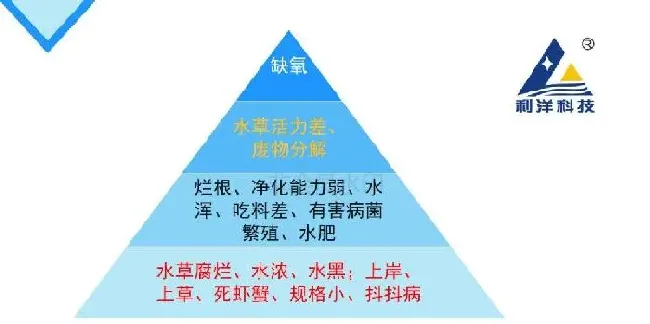 你忽视的溶解氧正在一步步毁掉你的池塘