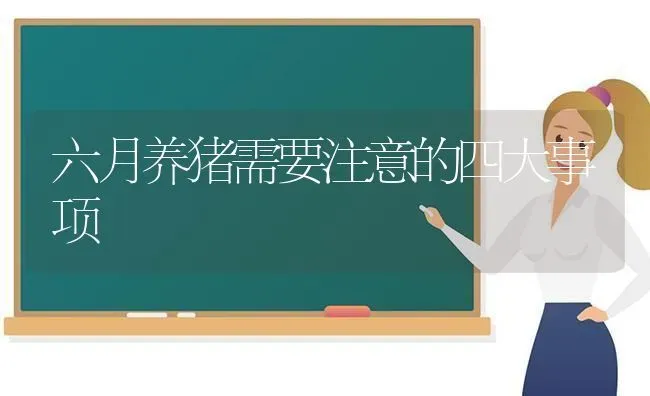六月养猪需要注意的四大事项 | 家畜养殖