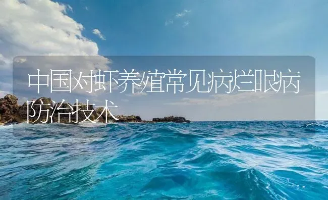 中国对虾养殖常见病烂眼病防治技术 | 海水养殖