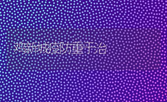 鸡新城疫防重于治 | 家禽养殖