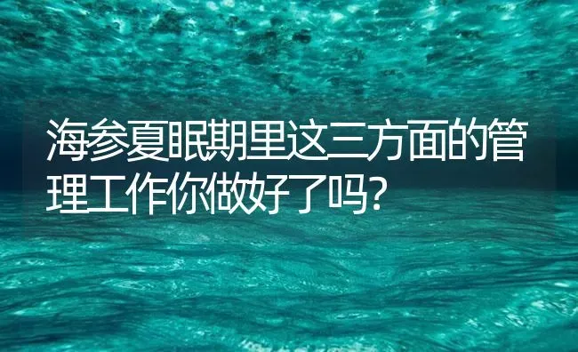 海参夏眠期里这三方面的管理工作你做好了吗？ | 海水养殖