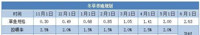 明年的草鱼要这样养：“冬草夏鲮”轮养模式