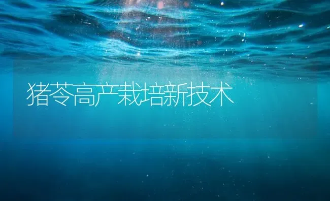 猪苓高产栽培新技术 | 家畜养殖