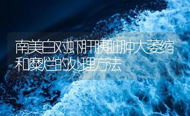 南美白对虾肝胰脏肿大萎缩和糜烂的处理方法 | 海水养殖