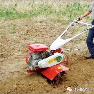 11月份虾稻田该如何管理？