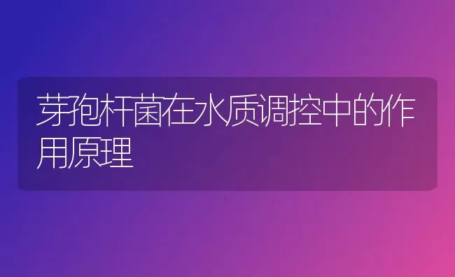 芽孢杆菌在水质调控中的作用原理 | 动物养殖百科