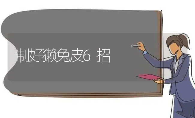 制好獭兔皮6招 | 家畜养殖