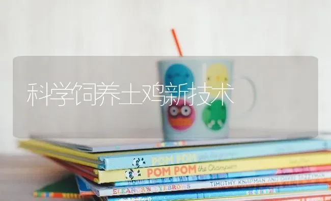 深秋注意抓细节 柴鸡养殖获高产 | 家禽养殖