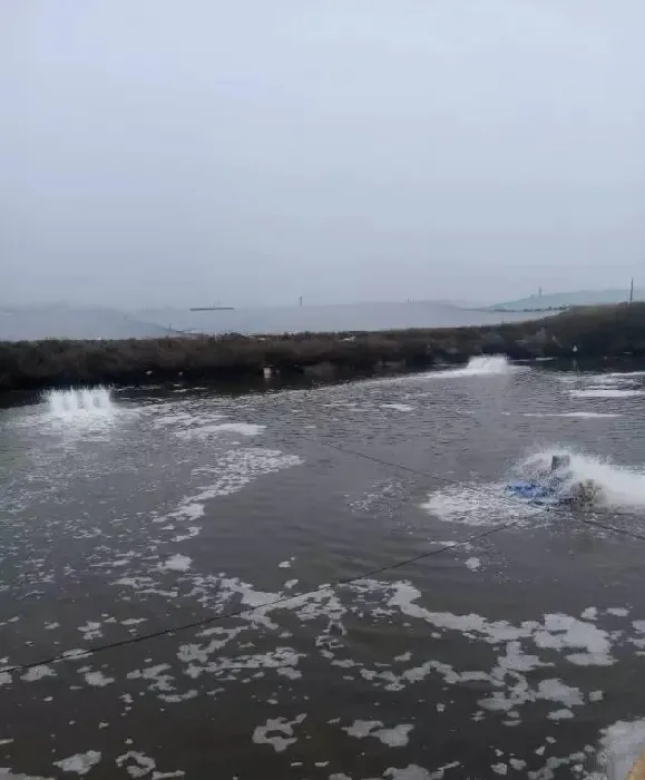 全面分析水产养殖户如何做好水质管理工作